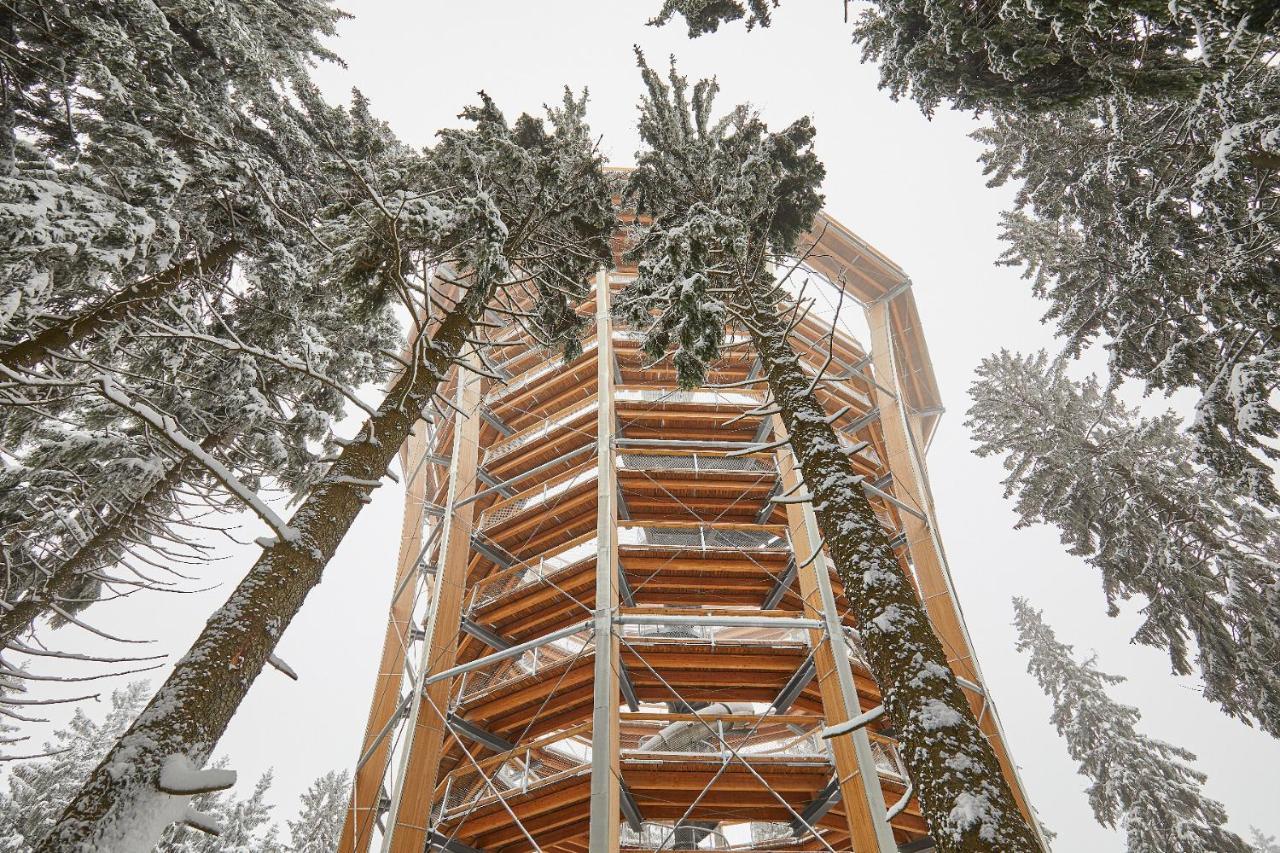 Ski Hotel Svoboda nad Úpou Kültér fotó