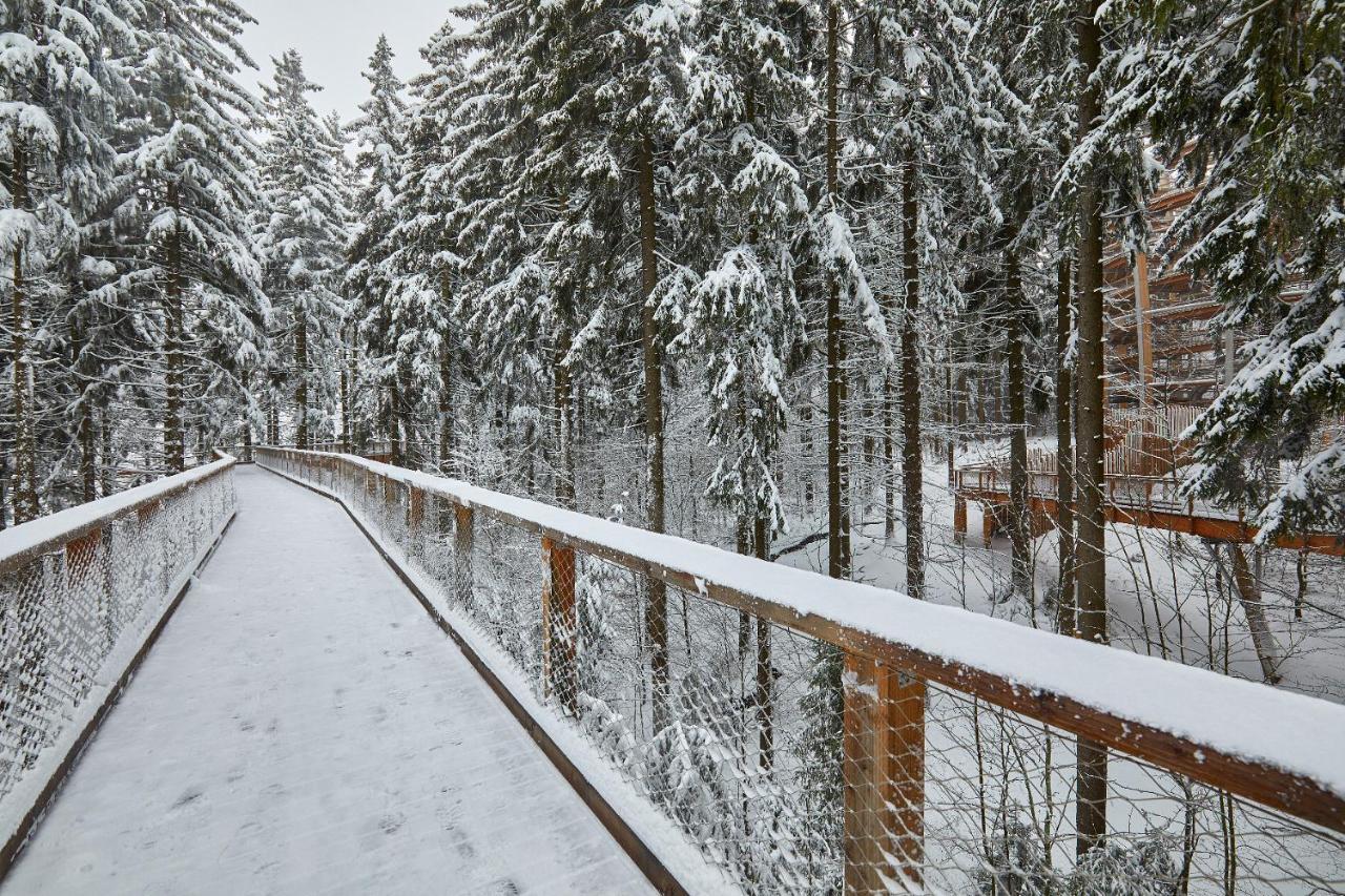 Ski Hotel Svoboda nad Úpou Kültér fotó